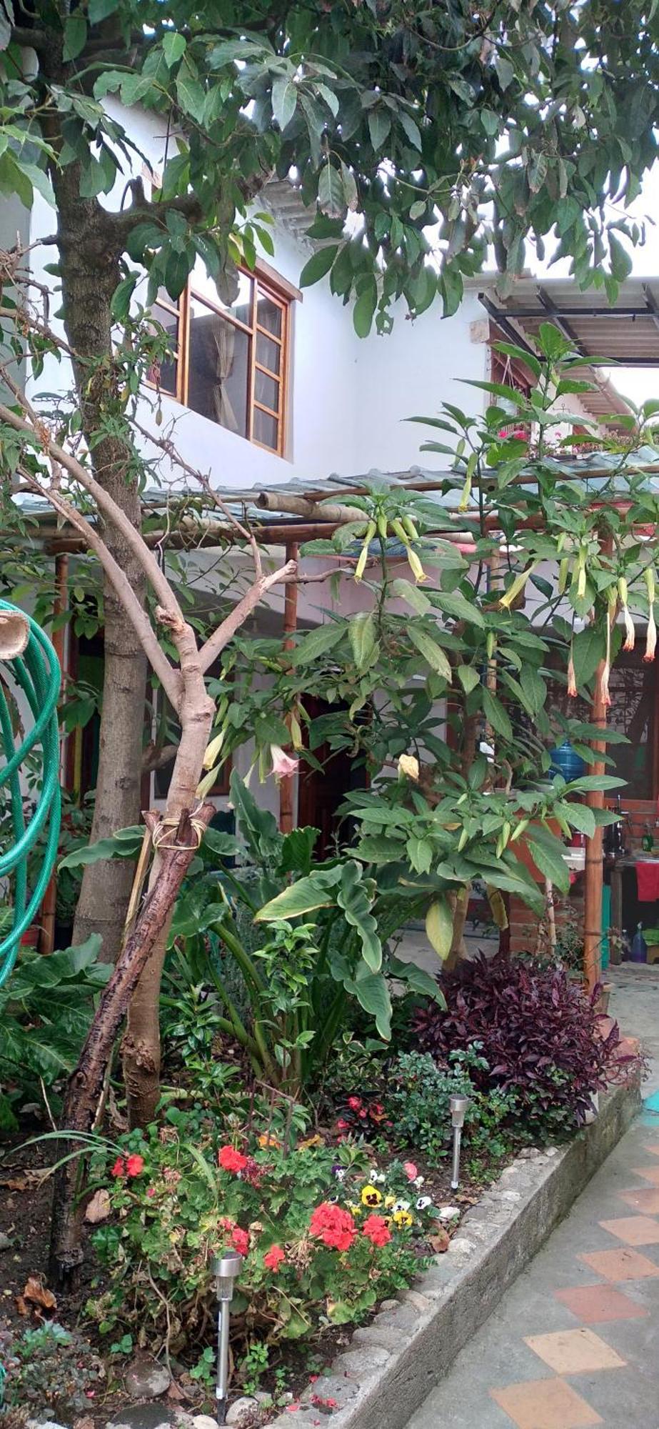 Aylluwasi Guesthouse オタバロ エクステリア 写真